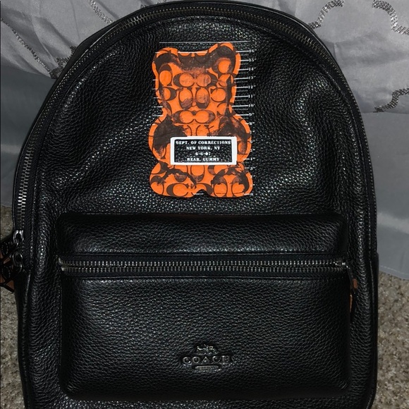 coach teddy bag